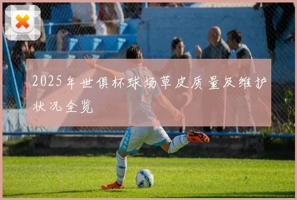 2025年世俱杯球场草皮质量及维护状况全览
