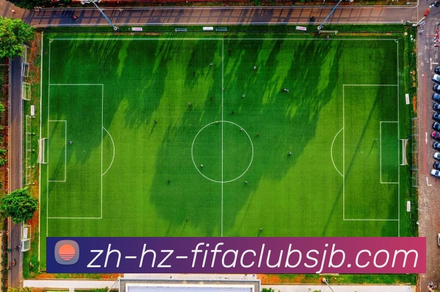 世界杯赛程APP 高清赛事图