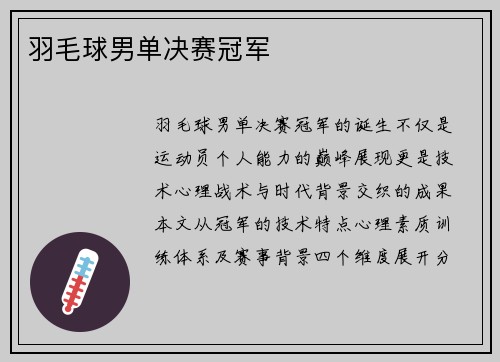 羽毛球男单决赛冠军