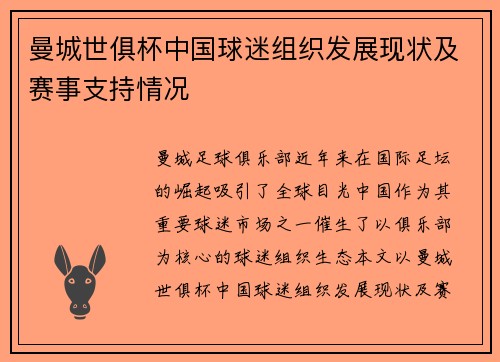 曼城世俱杯中国球迷组织发展现状及赛事支持情况
